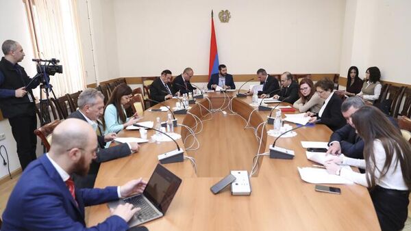 ԱԺ մարդու իրավունքների և հանրային հարցերի մշտական հանձնաժողովի նիստ - Sputnik Արմենիա