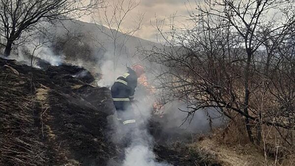 Пожар на территории, прилегающей к полигону N-й воинской части города Дилижан - Sputnik Армения