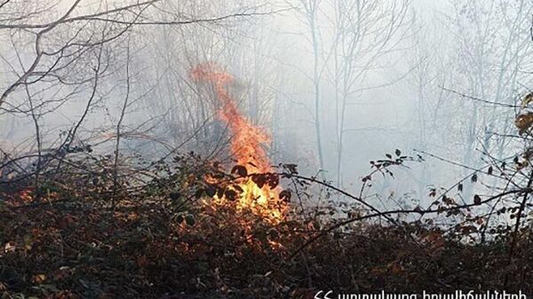 Лесной пожар у села Ваагнадзор - Sputnik Армения