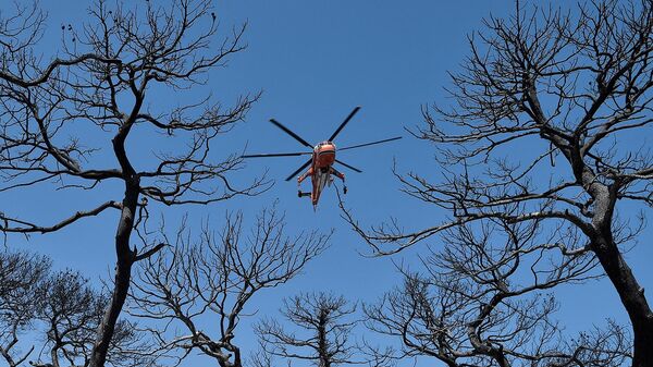 Ամերիկյան Sikorsky ընկերության ուղղաթիռ - Sputnik Արմենիա