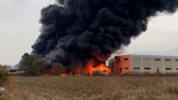 Пожар в химическом заводе в Памуккале, Турция - Sputnik Армения