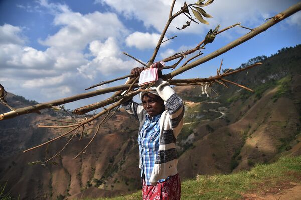 Женщина несет дрова в горах в Паньоле, Гаити. - Sputnik Армения