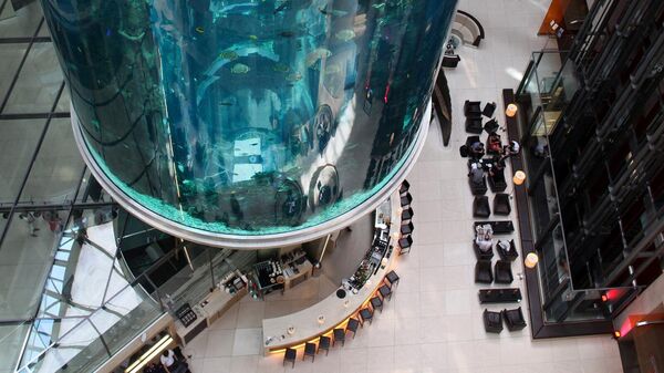 Дайверы чистят аквариум АкваДом в лобби отеля Radisson Blu в центре Берлина (10 мая 2011). Германия - Sputnik Армения