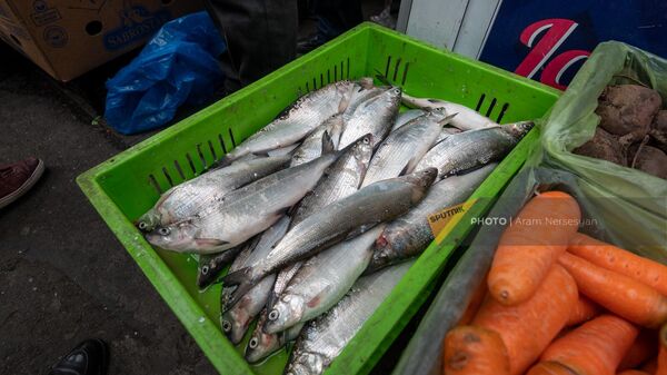 Уличная торговля рыбой - Sputnik Армения