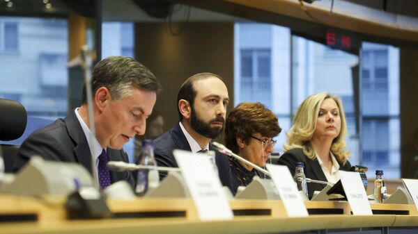 Министр иностранных дел Арарат Мирзоян выступил на состоявшейся дискуссии в комитете по иностранным делам Европарламента (24 января 2023). Брюссель - Sputnik Армения