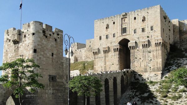 Цитадель Алеппо, Сирия - Sputnik Армения