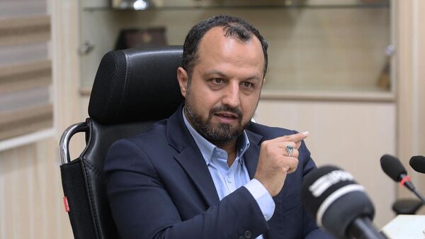 Министр экономики и финансов Исламской республики Иран Эхсан Хандузи - Sputnik Армения