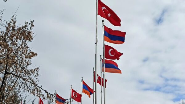 Հայաստանի և Թուրքիայի դրոշներ - Sputnik Արմենիա