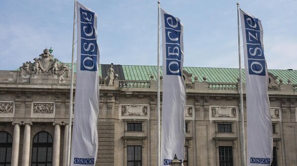 Флаги ОБСЕ перед Хофбургом в Вене - Sputnik Армения