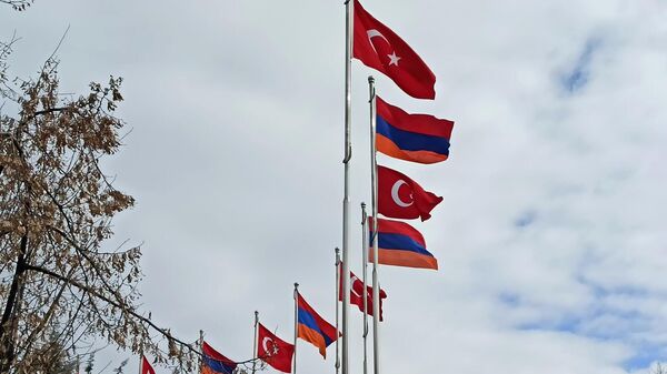 Թուրքիան Հայաստանի հետ բանակցություններն օգտագործում է PR-ի համար, Անկարան չի փոխել իր մոտեցումները. Մանոյան - Sputnik Արմենիա