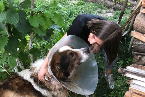 Լիլիթ Աբրահամյանը շան հետ - Sputnik Արմենիա