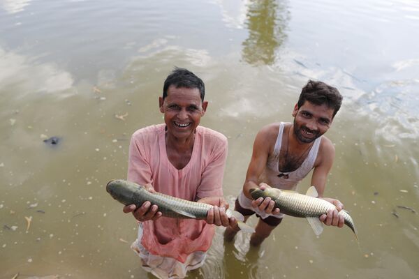 Գյուղի բնակիչները ցույց են տալիս իրենց որսը. Հնդկաստան, Ուտար–Պրադեշ - Sputnik Արմենիա