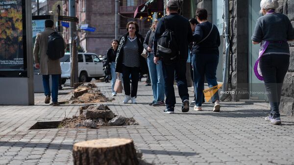 НКО Озеленение и охрана окружающей среды вырубает деревья на улице Московян - Sputnik Արմենիա