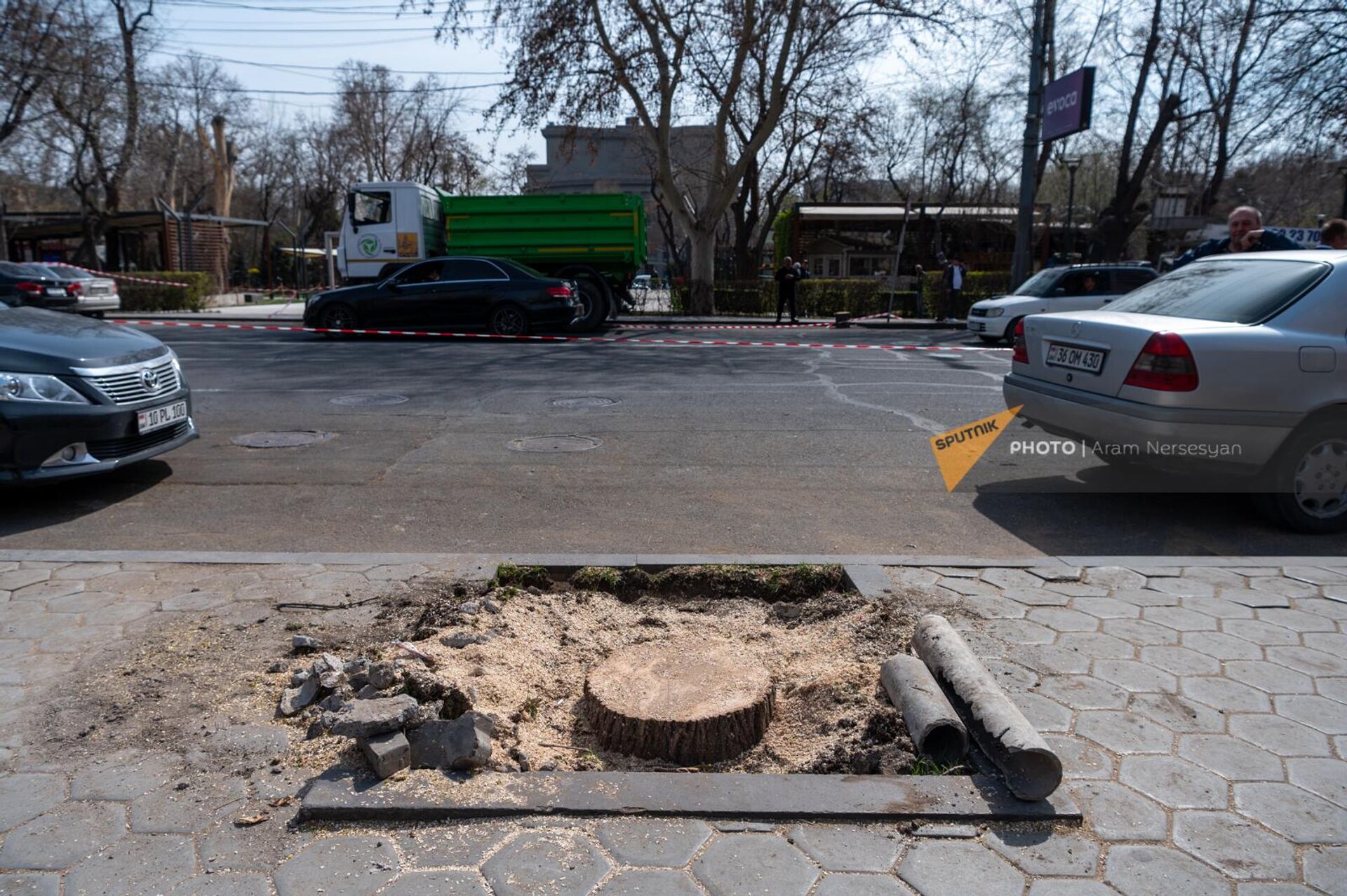 НКО Озеленение и охрана окружающей среды вырубает деревья на улице Московян - Sputnik Արմենիա, 1920, 23.03.2023