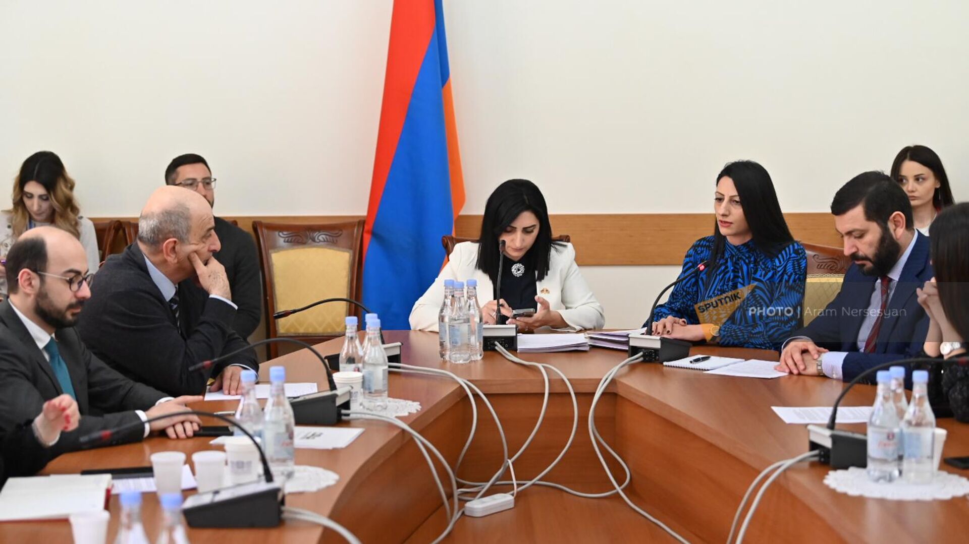 Заседание Постоянной комиссии НС по защите прав человека и общественным вопросам (4 апреля 2022). Еревaн - Sputnik Армения, 1920, 04.04.2023