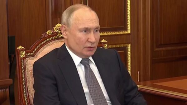 Путин попросил Шойгу продолжить работу по развитию флота, подумать о подготовке новых проверок - Sputnik Армения