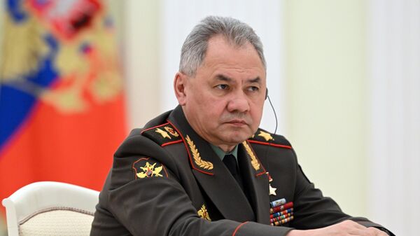 Министр обороны РФ Сергей Шойгу - Sputnik Արմենիա