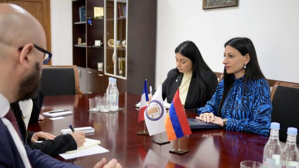 ՀՀ մարդու իրավունքների պաշտպան Անահիտ Մանասյանը - Sputnik Армения