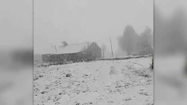 Снегопад в Арагацотнской области Армении  - Sputnik Армения