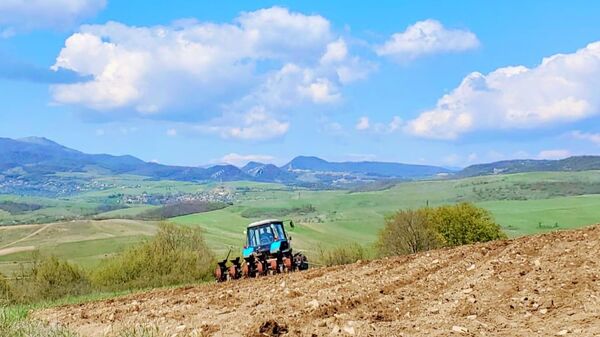 Сельскохозяйственные работы в административном районе села Вардадзор - Sputnik Армения