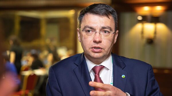Заместитель председателя правления Евразийского банка развития (ЕАБР) Денис Ильин - Sputnik Армения