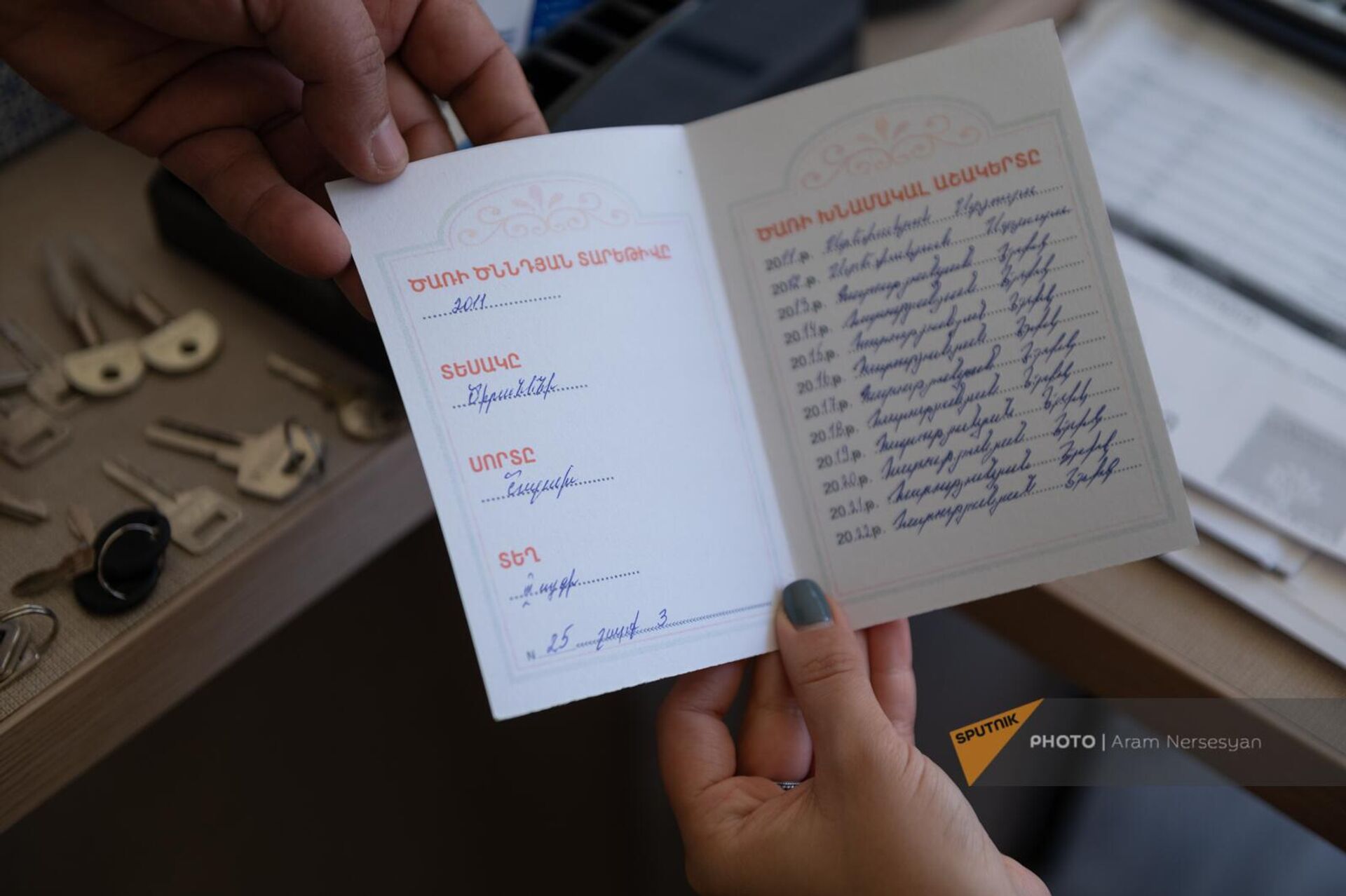Паспорт дерева, посаженного в 2011 году учеником эко-школы села Геташен Армавирской области - Sputnik Արմենիա, 1920, 16.05.2023