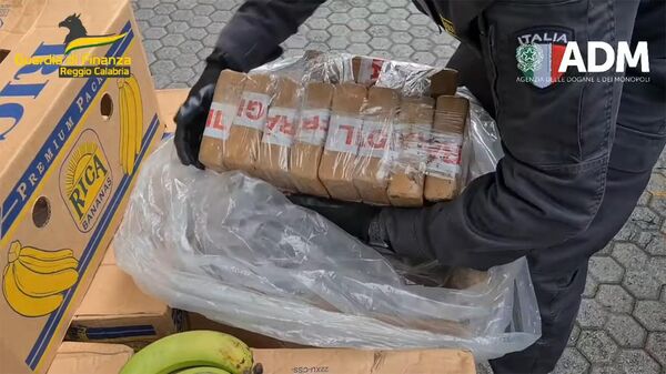 Сотрудники финансовой полиции Италии обнаружили 2737кг кокаина в контейнерах с бананами, следовавшими из Эквадора в Армению - Sputnik Армения