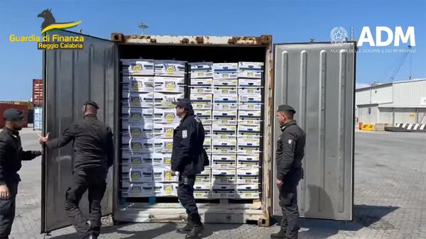 Сотрудники финансовой полиции Италии обнаружили 2737кг кокаина в контейнерах с бананами, следовавшими из Эквадора в Армению - Sputnik Армения
