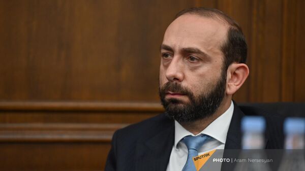 Министр иностранных дел Арарат Мирзоян на обсуждении бюджетного отчета 2022 года (29 мая 2023). Еревaн - Sputnik Армения