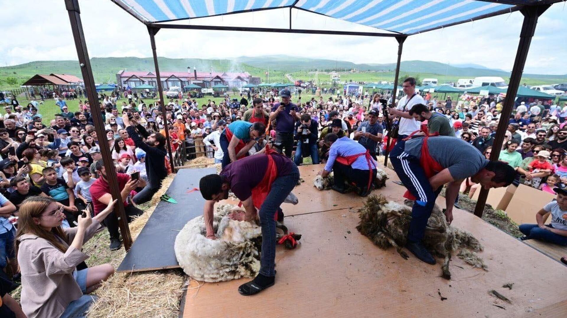 Фестиваль стрижки овец в общине Хот (10 июня 2023). Сюник - Sputnik Армения, 1920, 10.06.2023