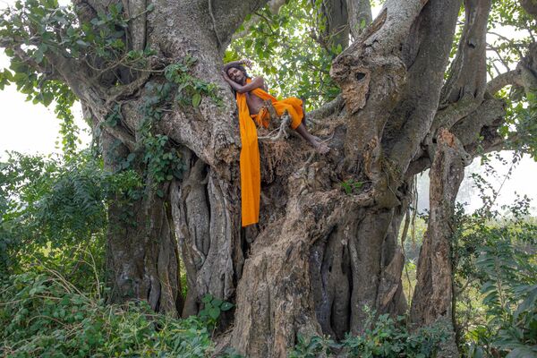 Բանգլադեշցի լուսանկարիչ Ջահիդ Ապու, «Ազատ թռչուն» - Sputnik Արմենիա