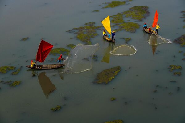 Հնդիկ լուսանկարիչ Շիբաշիշա Սահի, «Ձկնորսություն մամռակալած գետի վրա» - Sputnik Արմենիա