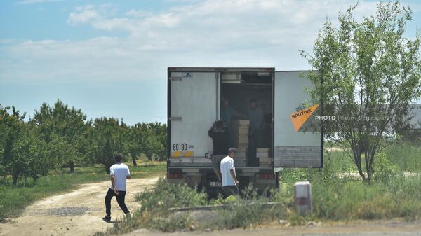 Տղամարդիկ արկղերով ծիրանը դասավորում են բեռնատարում. արխիվային լուսանկար - Sputnik Արմենիա