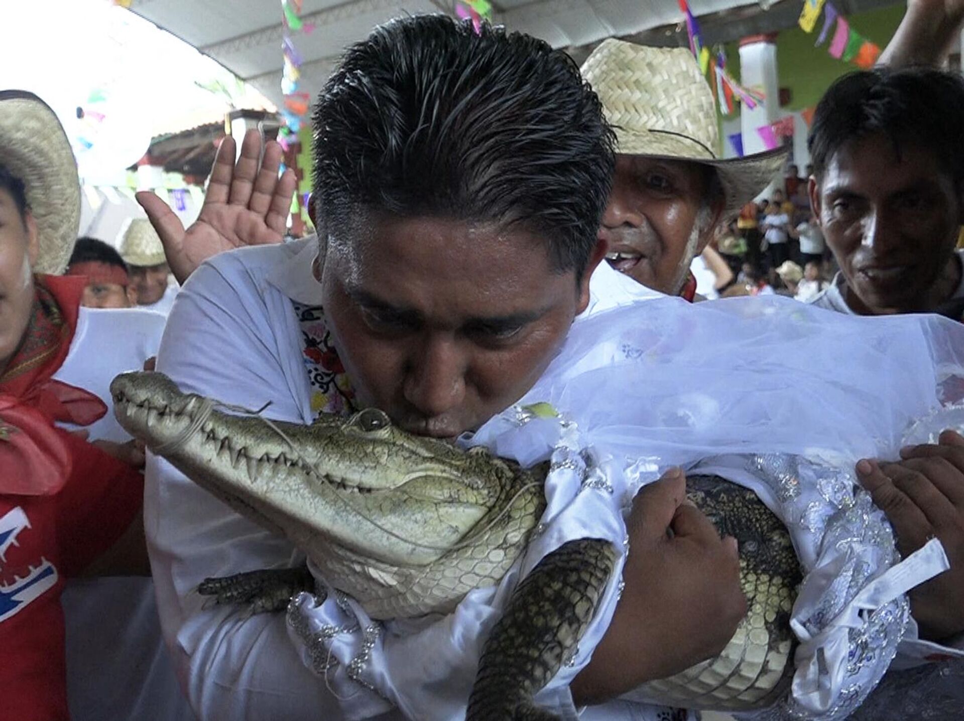 смешные шутки про крокодила. жена крокодила. аллигатор габби-гатор. жена крокодила. мексика женился на аллигатор.