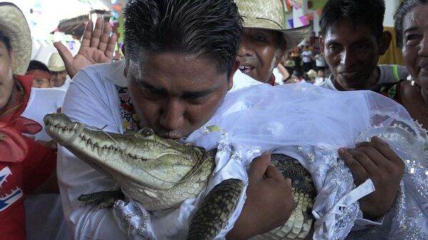 Виктор Хьюго Соса, мэр Сан-Педро-Уамелула, целует очкового каймана (Caiman crocodilus) по имени La Niсa Princesa (Девушка-принцесса) перед тем, как жениться на ней - Sputnik Армения