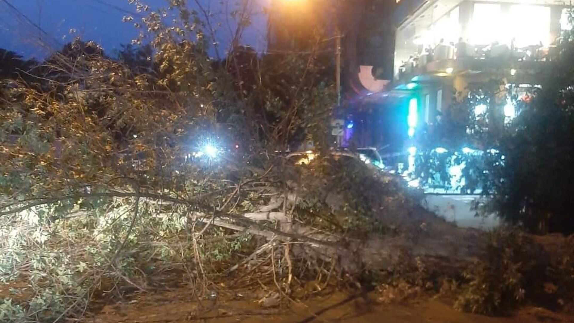 Քամին վնասներ է հասցրել Երևանի տարբեր շրջաններում Քամին վնասներ է հասցրել Երևանի տարբեր շրջաններում - Sputnik Արմենիա, 1920, 30.07.2023