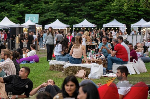 «Dilijan Wine Fest»-ի այցելուները - Sputnik Արմենիա