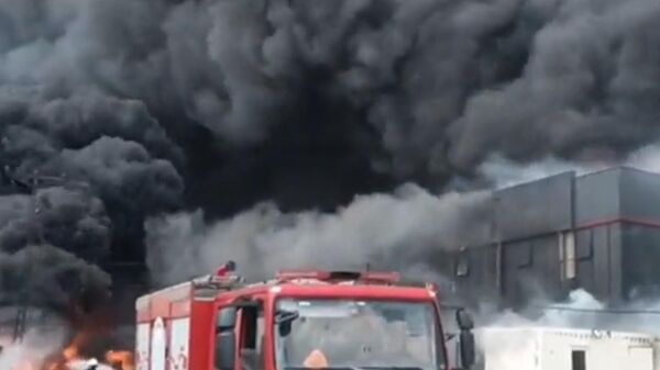 На химическом заводе в Текирдаге, вспыхнул пожар - Sputnik Армения