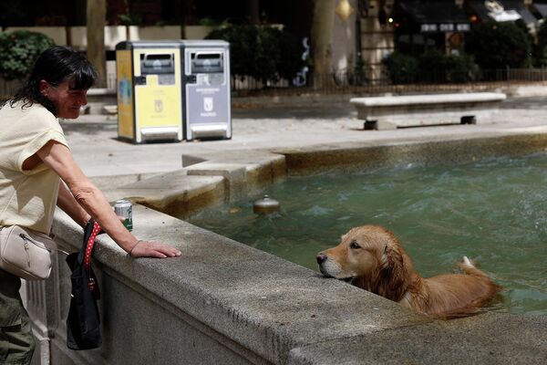 Собака влезла в городской фонтан, чтоб спастись от жары (9 августа 2023). Мадрид  - Sputnik Արմենիա