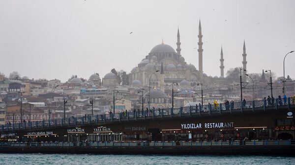 Вид на Галатский мост и на Новую Мечеть Валиде Султан в Стамбуле - Sputnik Армения