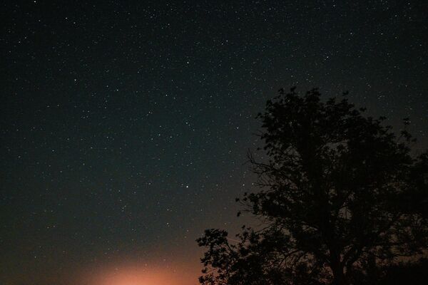 Աստղային երկնքի լուսանկար ՖոնտեբլոյիցՓարիզ, Ֆրանսիա - Sputnik Արմենիա