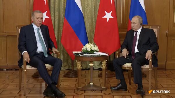 На встрече Эрдоган-Путин возникли трудности перевода - Sputnik Армения