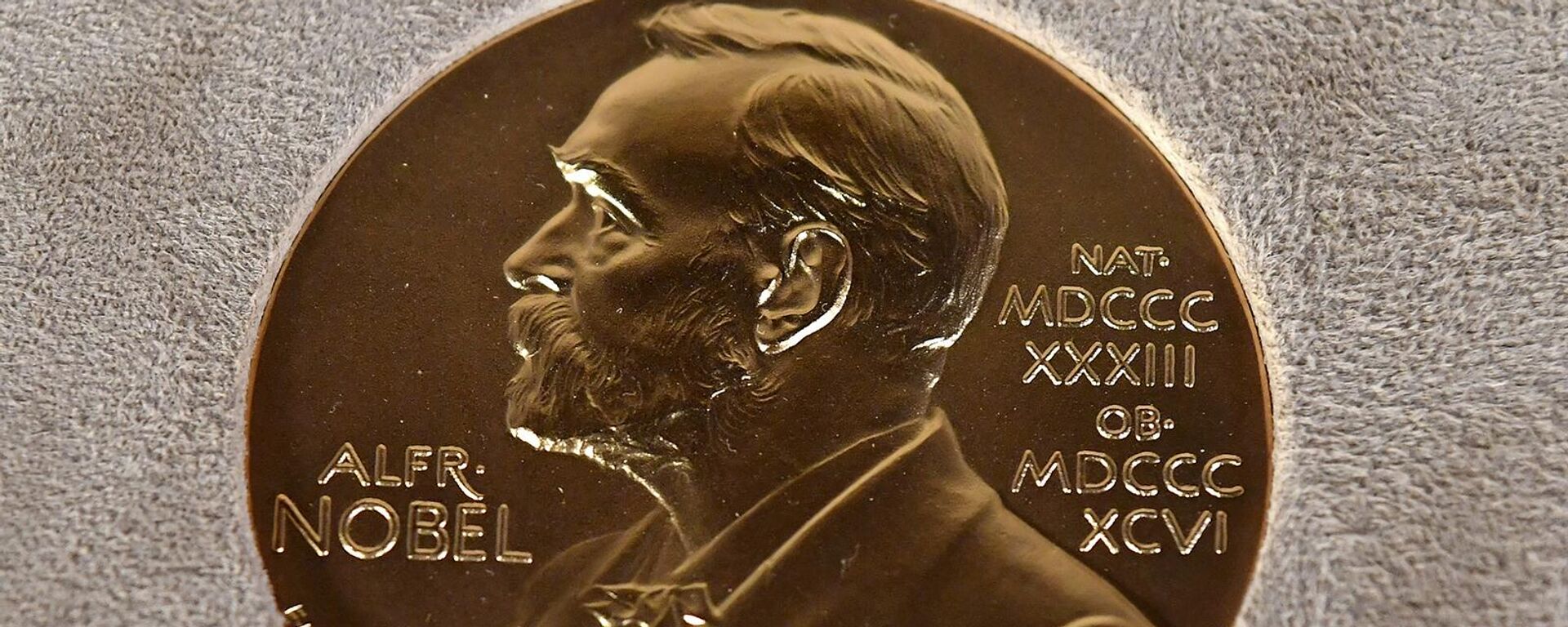Նոբելյան մրցանակ - Sputnik Արմենիա, 1920, 03.10.2023