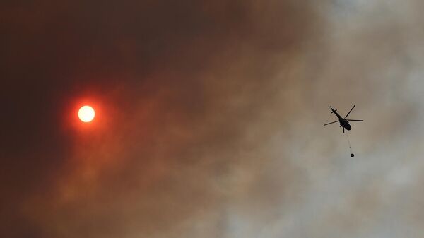 Пожарный вертолет сбрасывает воду на лесной пожар в Турции - Sputnik Армения