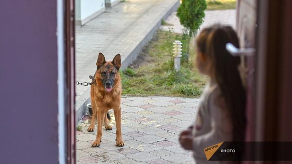 Բռնի տեղահանված ընտանիքն իր շան հետ` Վարդենիսում - Sputnik Արմենիա