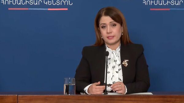 Назели Багдасарян представляет процесс работы «Гуманитарного центра» - Sputnik Армения