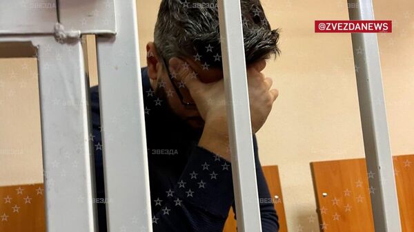 Пасынок Стаса Намина Роман Новиков под стражей - Sputnik Армения