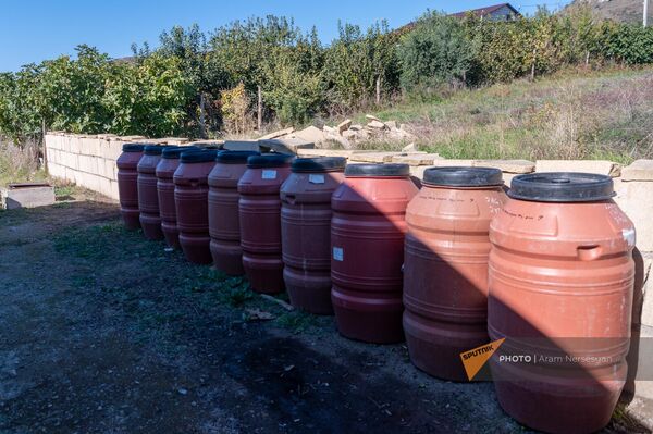 Ձիթապտղի մշակում - Sputnik Արմենիա