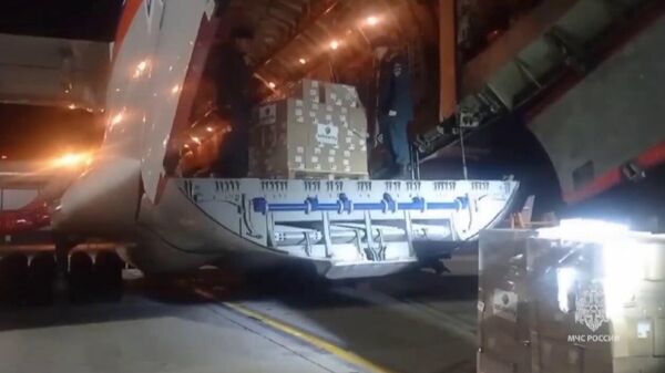 Два самолета Ил-76 доставят 28 тонн гуманитарного груза для сектора Газа, сообщает МЧС - Sputnik Армения