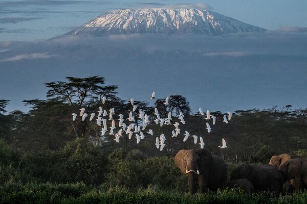 5. Гора Килиманджаро, ТанзанияКаждый год тут умирает 10 человек из-за высотной болезни - Sputnik Армения